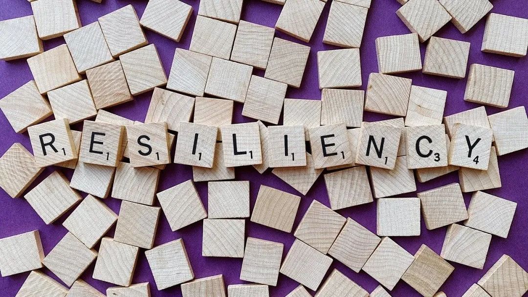 2022上海反垄断&价格监管,年终大盘点!