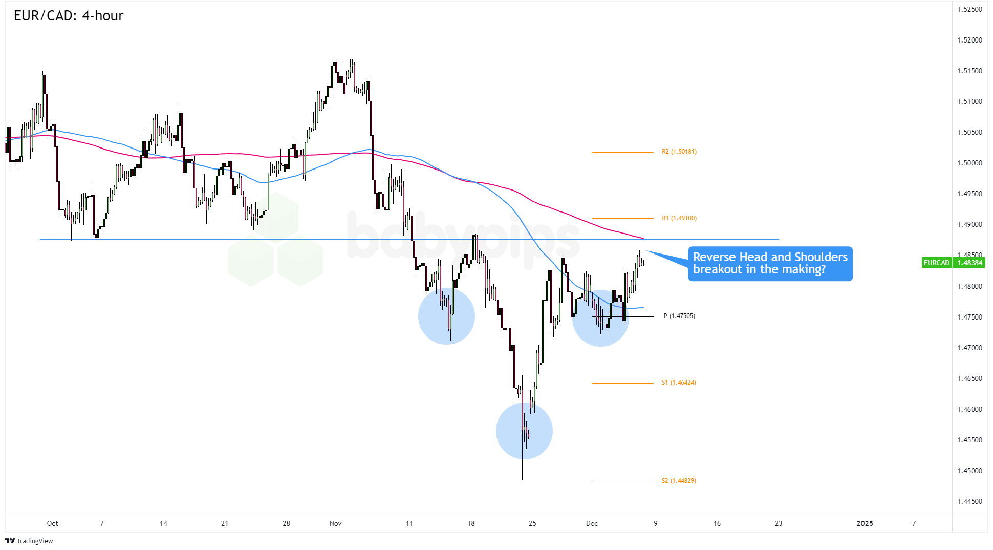 省基层精神科临床诊疗能力提升项目第三季度培训班在梅举办